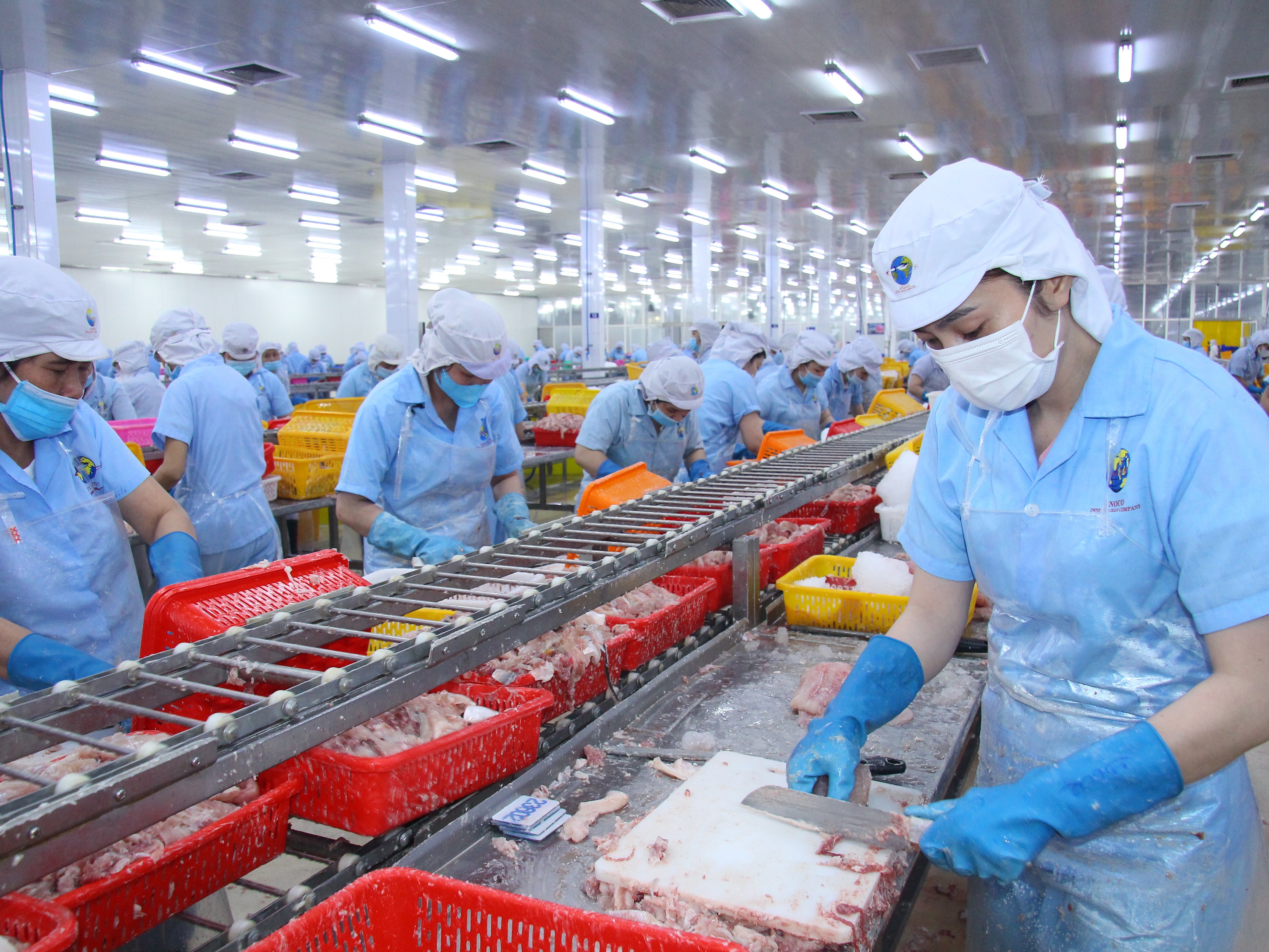 Dòng chảy vốn ngân hàng “bệ đỡ” phát triển ngành hàng cá tra 