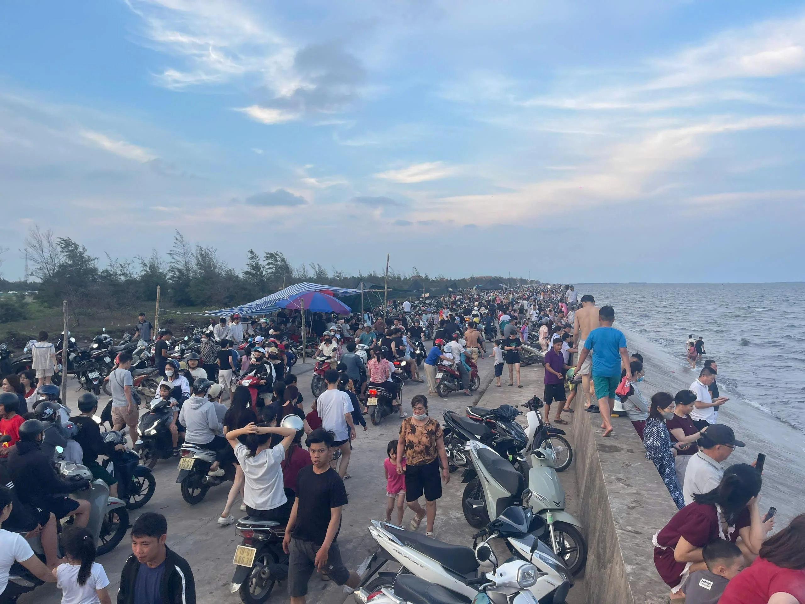 Quất Lâm sau mùa cao điểm: Khi “lượng” đã có, “chất” cần được bồi đắp