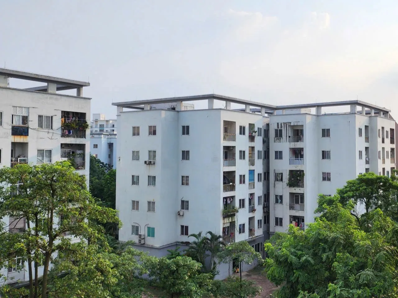 Sửa Luật Nhà ở: Tạo chính sách đột phá để phát triển nhà ở cho thuê