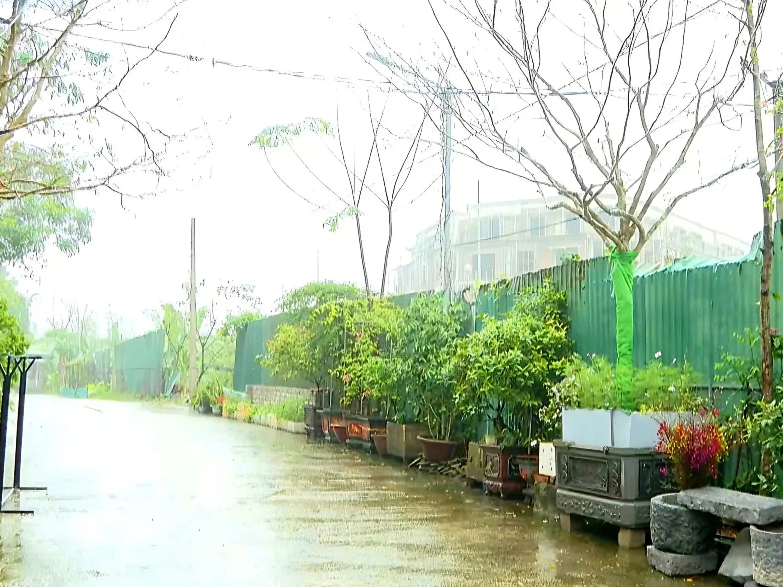 Tuyến đường dân sinh hơn 40 năm ở Nghệ An trước nguy cơ bị thu hẹp vì dự án bất động sản