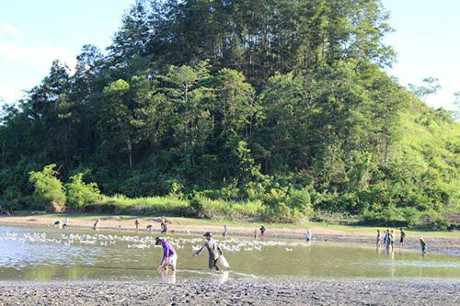 Nghệ An: Cá chết hàng loạt tại hồ đập do nắng nóng