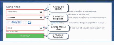 Xét tuyển đại học trực tuyến: Thí sinh cần lưu ý những gì?