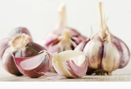 Những người nào không nên ăn tỏi?