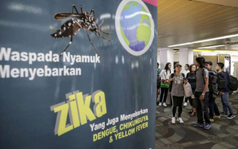 Virus Zika có thể sống trong mắt và lây lan qua nước mắt