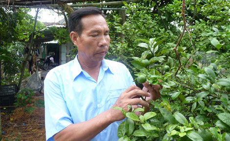 Người thương binh chiến thắng trong cuộc mưu sinh thời bình