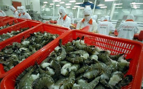 Xuất khẩu tôm Việt Nam sang Mỹ tiếp tục tăng