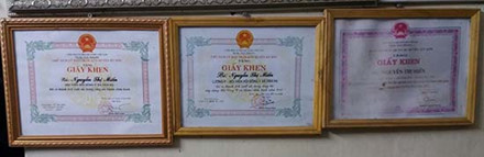 Hành trình tìm cây thuốc quý chữa bệnh cứu người của lang y xứ Mường