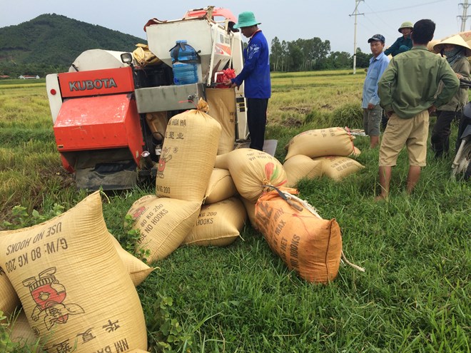 Mang máy gặt đi gặt lúa, phải nộp cho xã 2 triệu tiền bảo lãnh