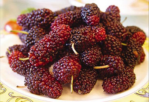 Trị mất ngủ hiệu quả nhờ phương pháp đơn giản