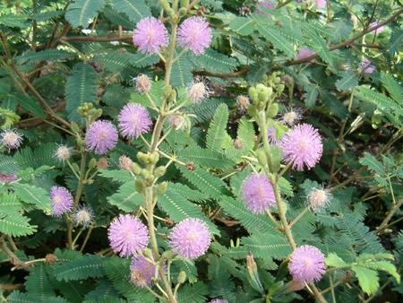 Trị mất ngủ hiệu quả nhờ phương pháp đơn giản