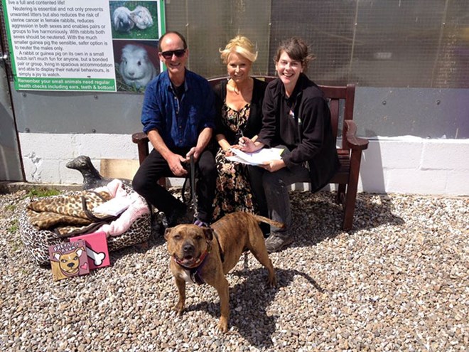 Michael Bay mời 'cô chó cô đơn nhất thế giới' đóng Transformers 5