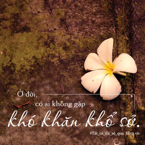 Đừng sợ thất bại, nó chẳng là gì so với cuộc đời quá đỗi dài...