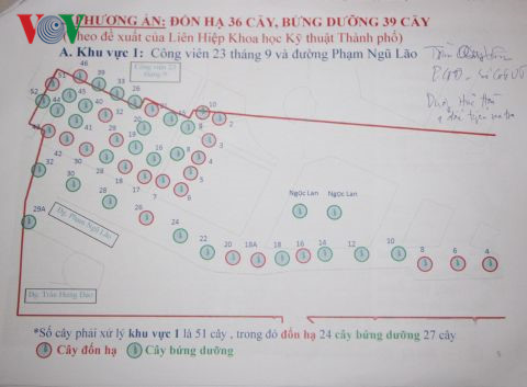 Đốn hạ, di dời 75 cây xanh để xây dựng đường sắt đô thị ở TP.HCM