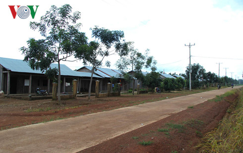 Cao su rớt giá, doanh nghiệp buông tay