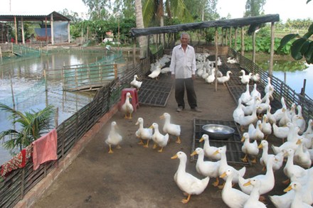 Suy dinh dưỡng ở trẻ em: Nguyên nhân từ đói nghèo