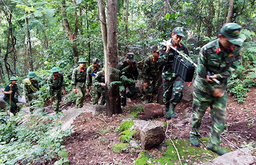 Nỗ lực tiếp cận hiện trường máy bay gặp nạn