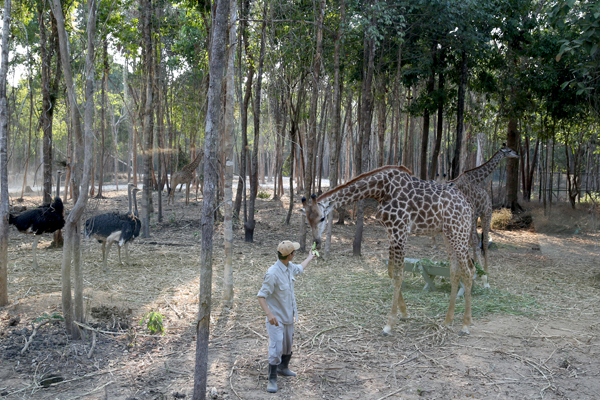 Phú Quốc hướng đến du lịch xanh