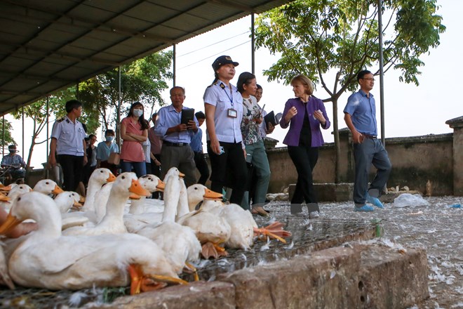 Quan chức cấp cao Bộ Y tế Hoa Kỳ thị sát chợ gia cầm lớn nhất miền Bắc