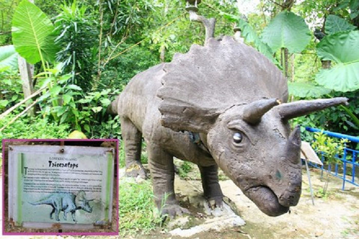 Khoang Xanh - Suối Tiên điểm dừng chân lý tưởng