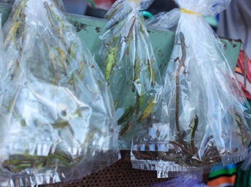 'Chợ đàn ông' ở Sài thành