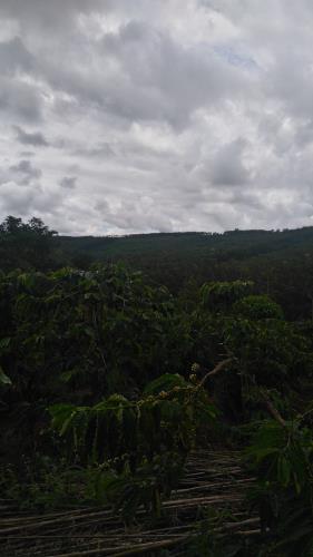 Quảng Tín (Đắkr’Lấp - ĐắkNông): Khơi dậy sức dân trong xây dựng nông thôn mới