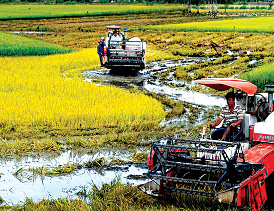 Bàn cách để nông dân vay vốn dễ hơn