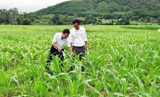 Bắc Thành (Yên Thành - Nghệ An): Những tín hiệu vui khi về đích nông thôn mới