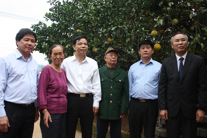 Người có vườn bưởi đỏ vạn quả, lãi ròng cả tỷ đồng