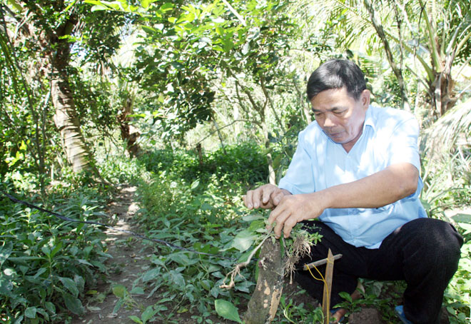 Bắt trộm bằng… sóng vô tuyến