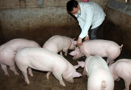 Hỗ trợ vắc xin cho 3 tỉnh phòng chống dịch bệnh