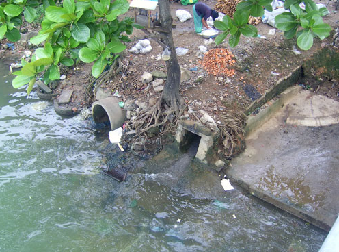 Phí bảo vệ môi trường đối với nước thải