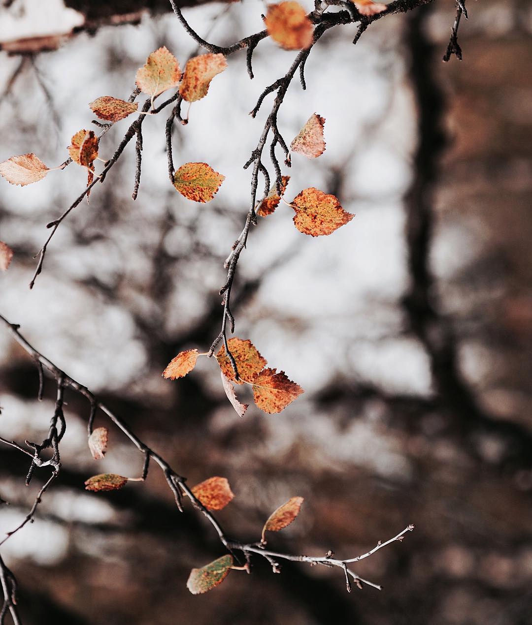 Tự nắm tay mình qua mùa đông này đến mùa đông khác, một mình thành quen...
