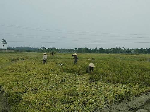Công Thành  (Yên Thành - Nghệ An):  Phát huy tiếng nói của Đảng với nhân dân