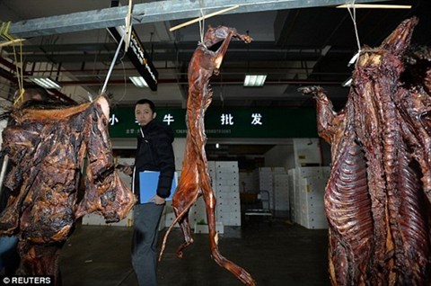 Đội lốt nhà bảo vệ động vật, tiêu thụ hàng trăm tấn thịt mèo kiếm lợi