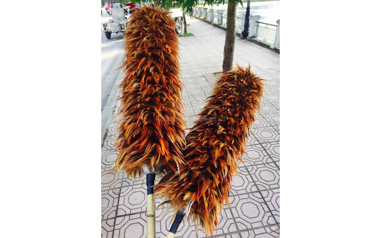 Những vị thuốc từ Gà