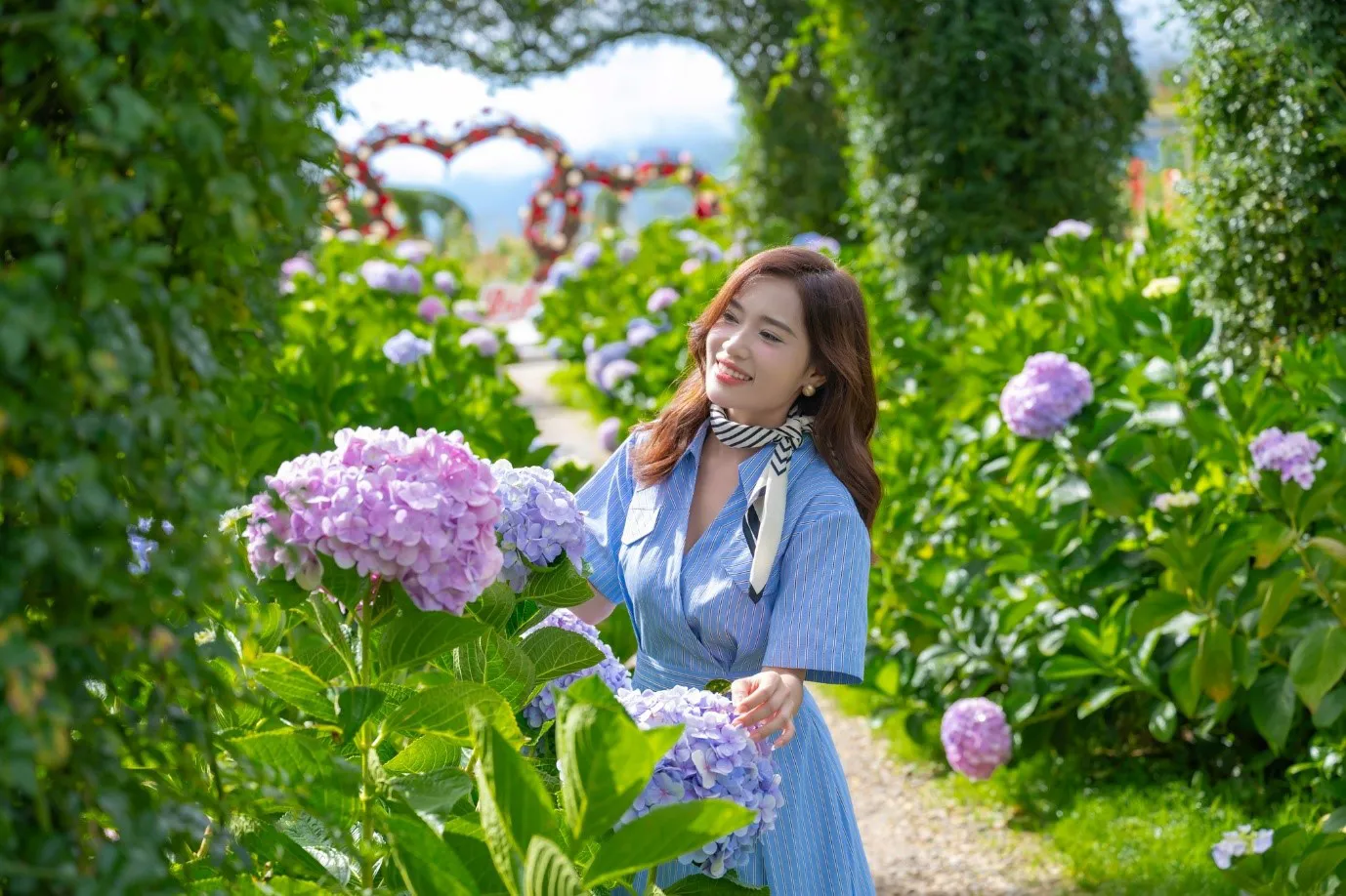 Lên Sa Pa trốn nóng, ngắm thung lũng hoa hồng và chạm đỉnh Fansipan