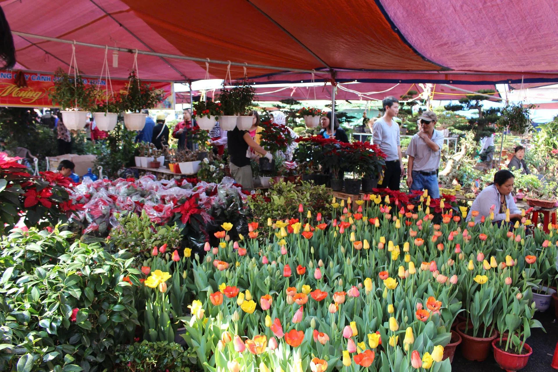 Chợ Viềng 2026: Phiên chợ họp duy nhất trong đêm nay, với niềm tin “mua may, bán rủi”