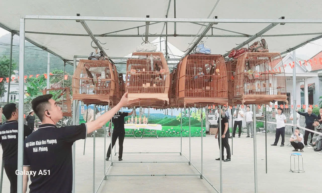 Quảng Ninh: Lễ hội đầu Xuân - Thu hút, kích cầu du lịch