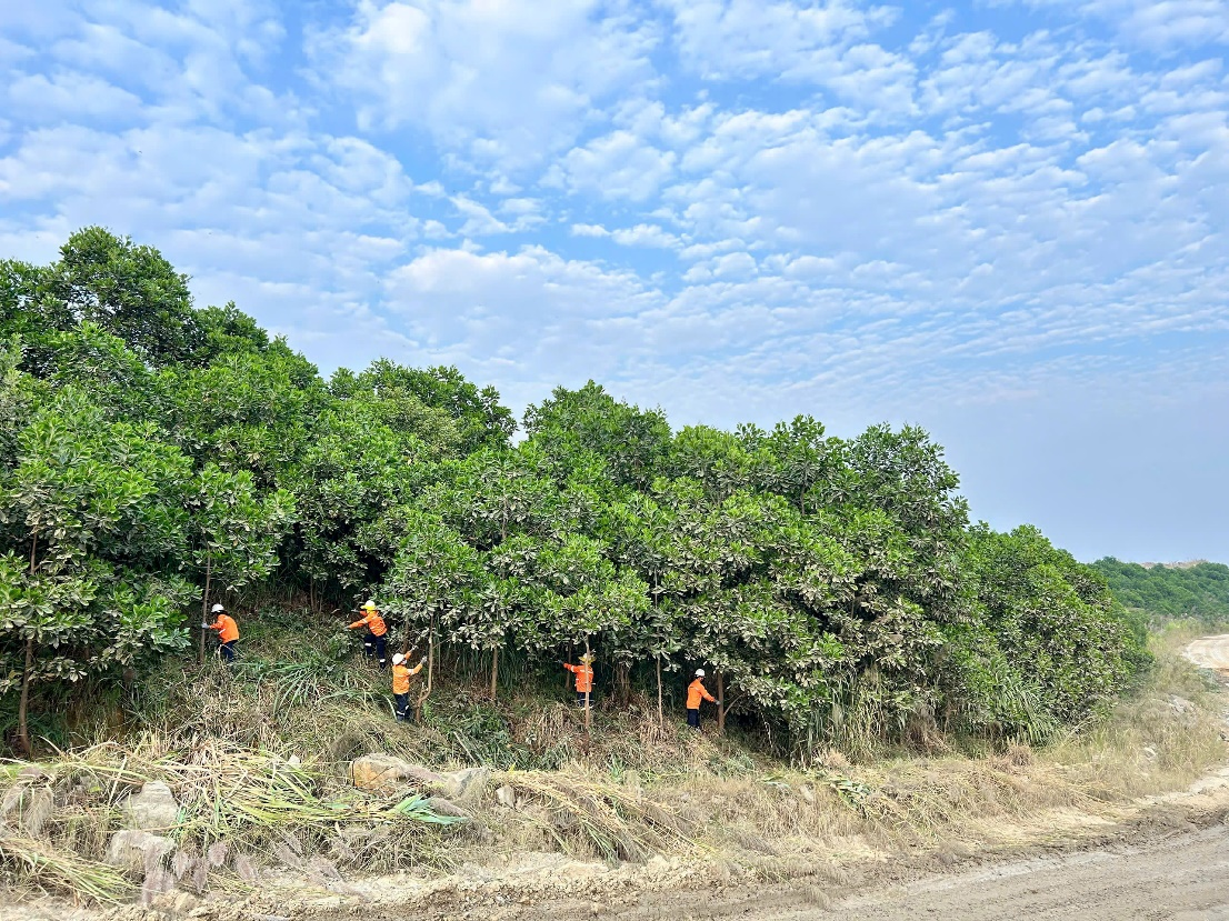 Masan High-Tech Materials: “Thời điểm vàng” để bứt phá