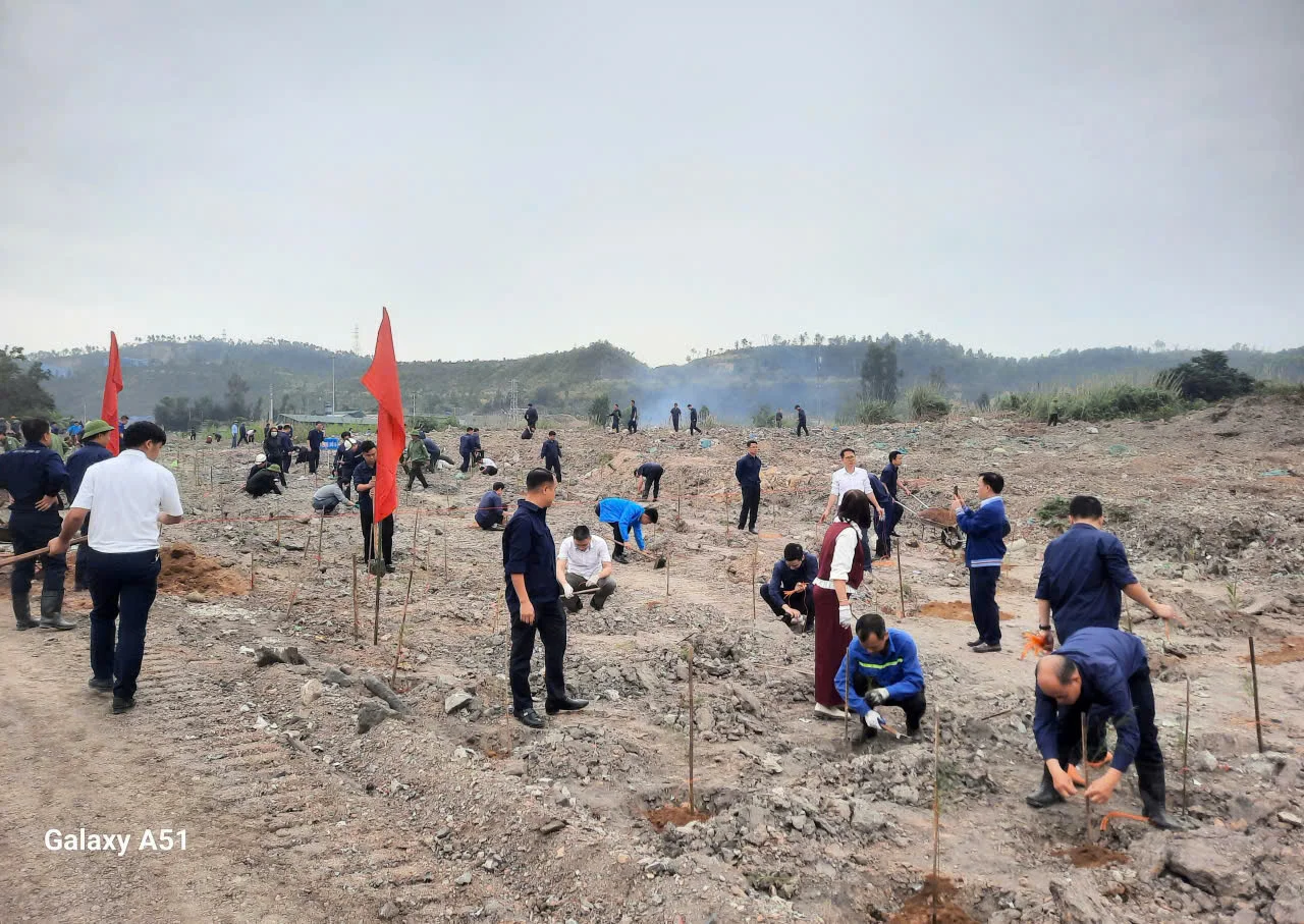 Quảng Ninh: Nhiều  đơn vị, địa phương hưởng ứng “Tết trồng cây đời đời nhớ ơn Bác Hồ” Xuân Bính Ngọ 2026