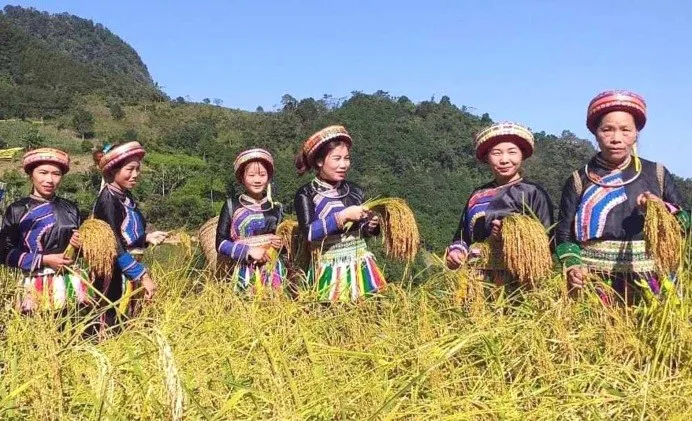 Nông nghiệp sinh thái xu hướng tiêu dùng
