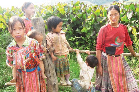 Ánh mắt Hà Giang