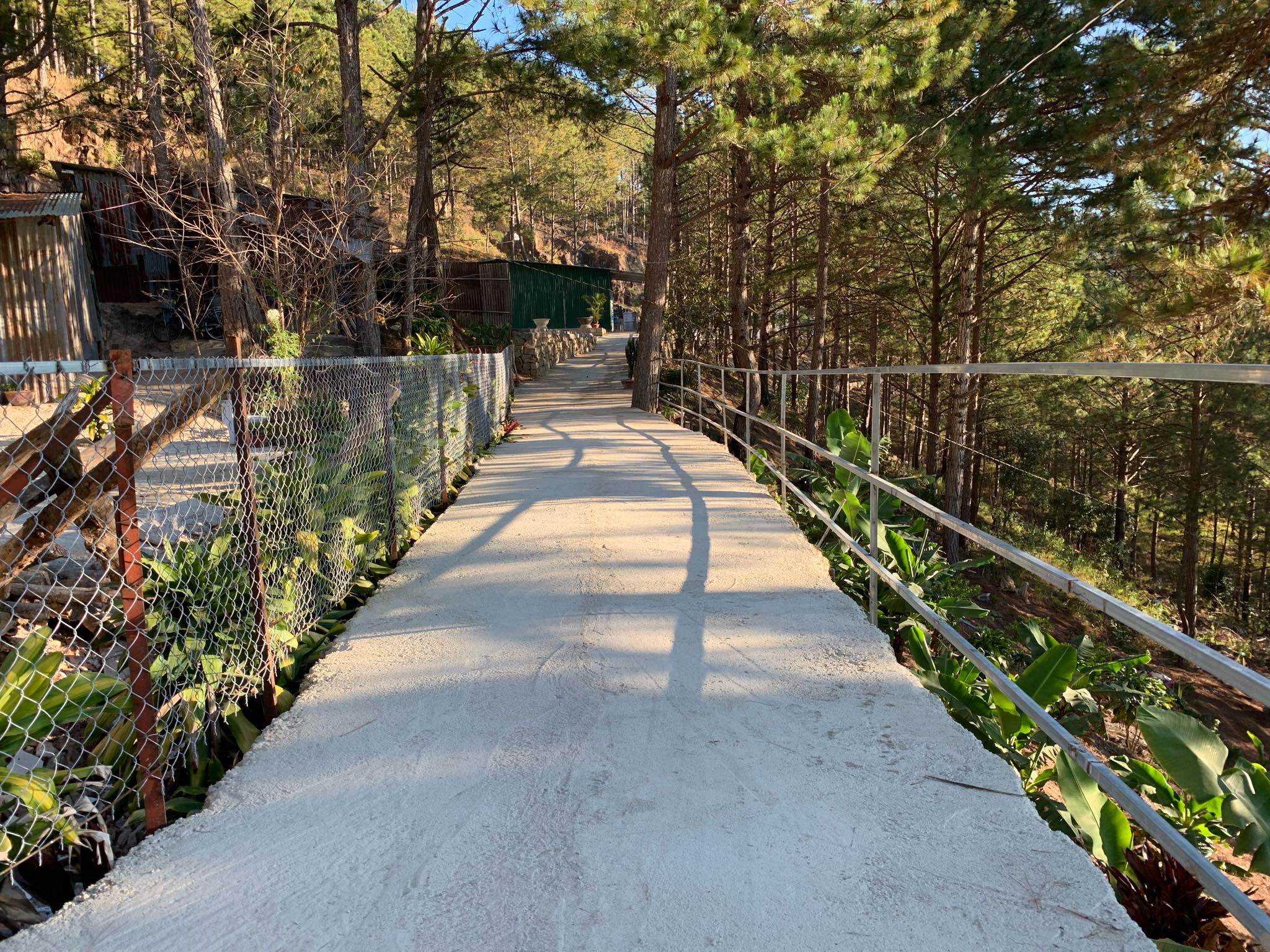 Đầu năm 2018, một con đường 