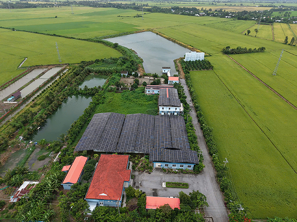 Kiên Giang: Nhà máy nước Nam Rạch Giá và những dấu hỏi trong quy hoạch, mua bán nước sạch